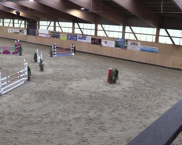Reitturnier Fehraltorf 2024