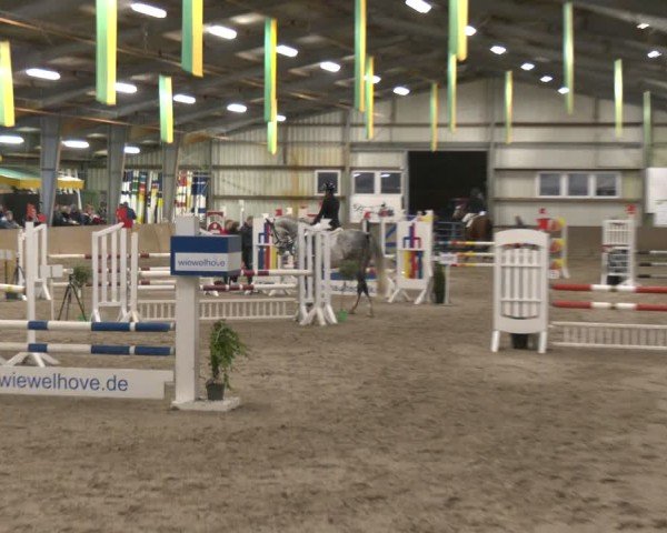 Reitturnier Ibbenbüren 2024