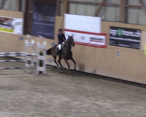 Reitturnier Fehraltorf 2024