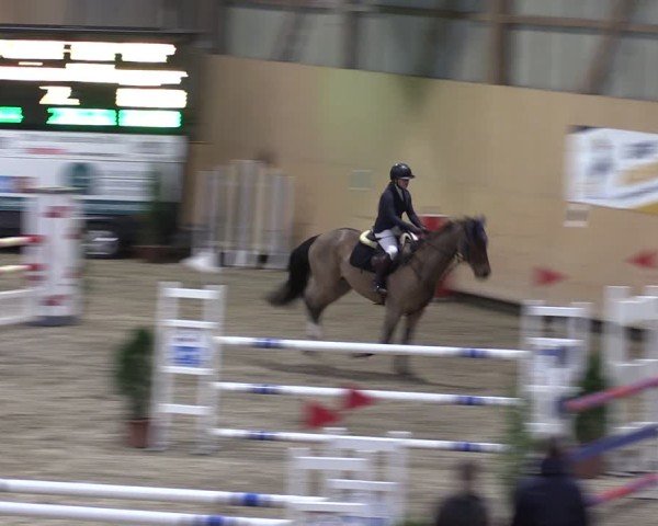 Reitturnier Fehraltorf 2024
