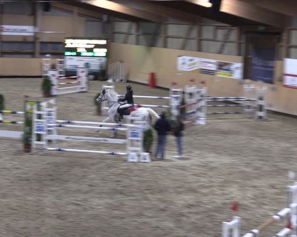 Reitturnier Fehraltorf 2024