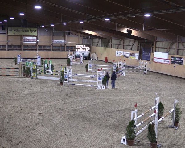 Reitturnier Fehraltorf 2024