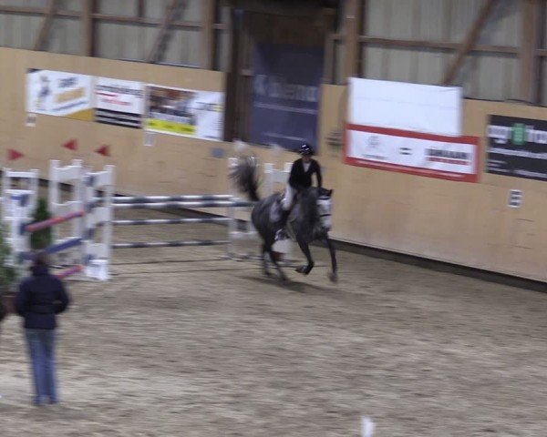 Reitturnier Fehraltorf 2024