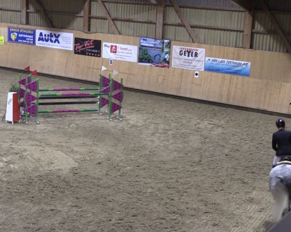 Reitturnier Fehraltorf 2024