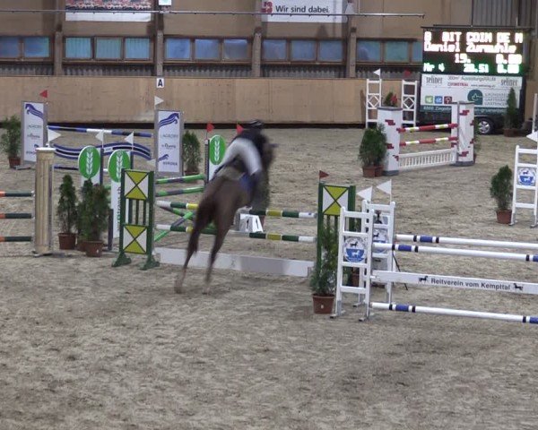 Reitturnier Fehraltorf 2024