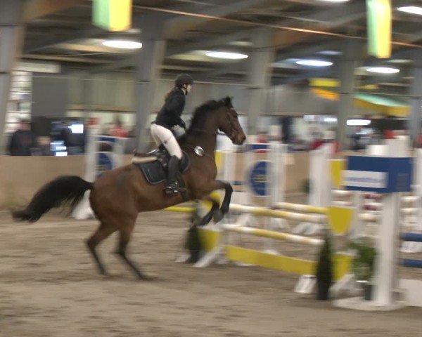 Reitturnier Ibbenbüren 2024