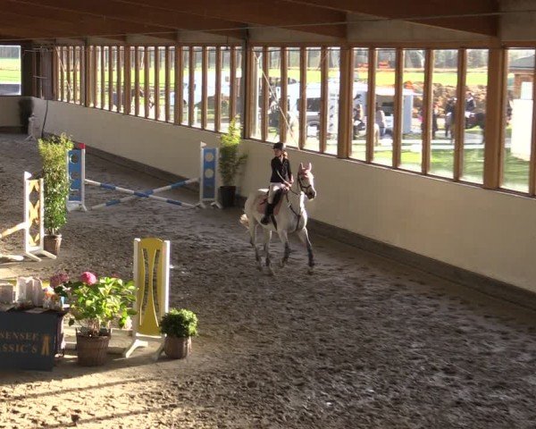 Reitturnier Fleesensee Classic´s 2024