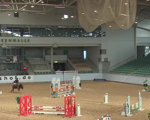 Reitturnier Kreuth/Opf. 2024