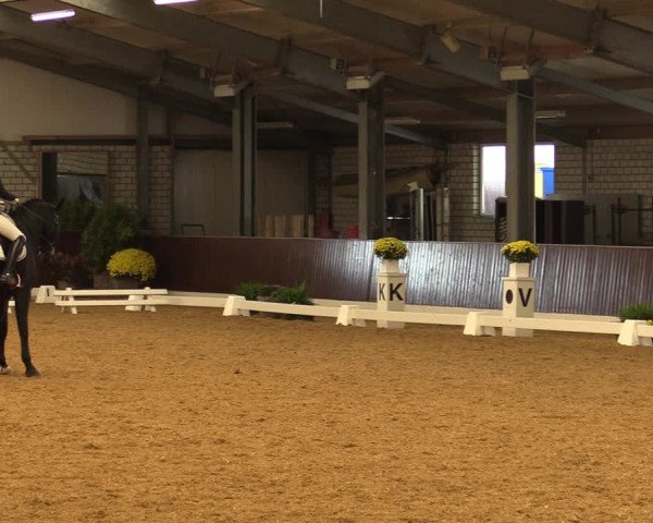 Reitturnier Kirchhellen-RSV Zur Linde 2021