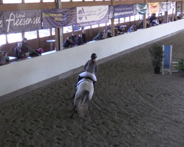 Reitturnier Fleesensee Classic´s 2024