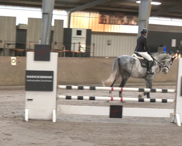 Reitturnier Ibbenbüren 2024