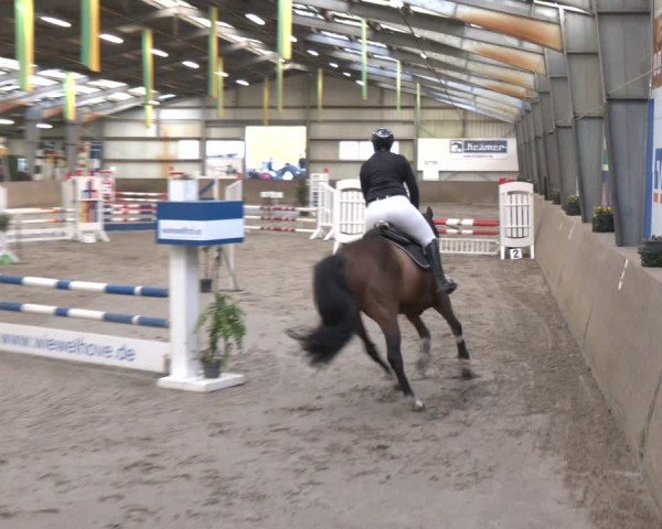 Reitturnier Ibbenbüren 2024
