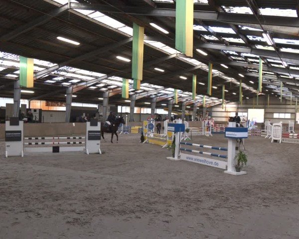 Reitturnier Ibbenbüren 2024