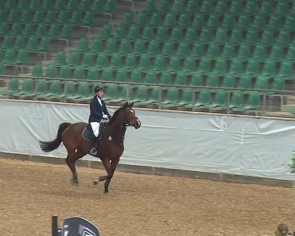 Reitturnier Kreuth/Opf. 2024