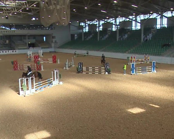 Reitturnier Kreuth/Opf. 2024