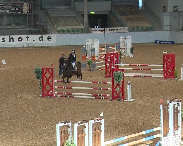 Reitturnier Kreuth/Opf. 2024