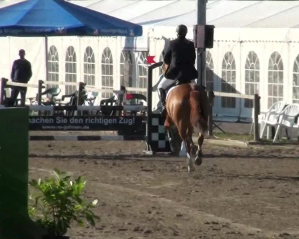 60. Lobbericher Reitsportfestival 01.-04.08.2013