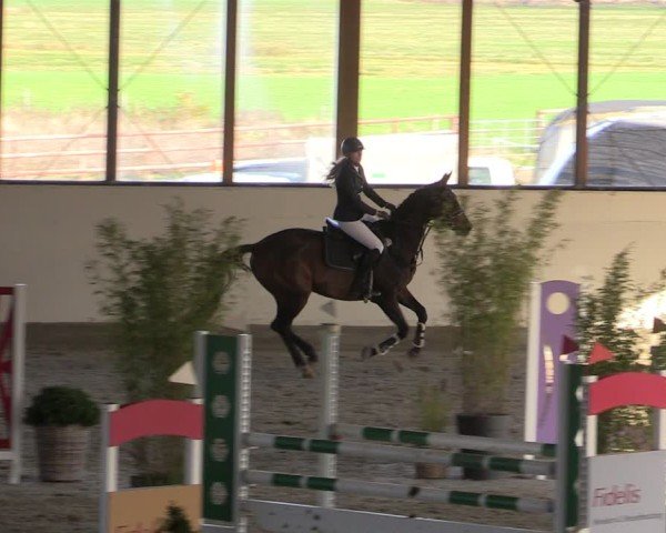 Reitturnier Fleesensee Classic´s 2024