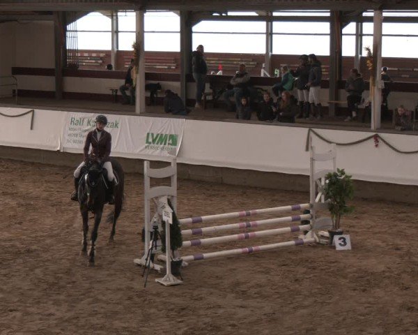 Reitturnier Marl, Reithalle Rohmann 2024