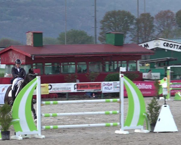Reitturnier Giubiasco 2024