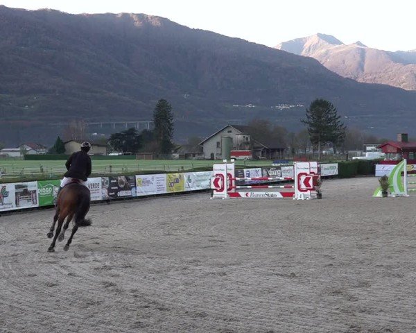 Reitturnier Giubiasco 2024