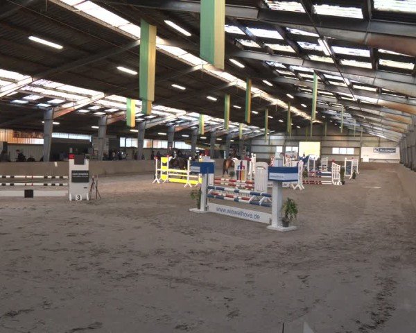 Reitturnier Ibbenbüren 2024