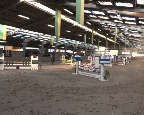 Reitturnier Ibbenbüren 2024