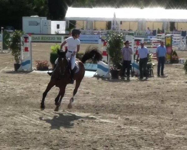 60. Lobbericher Reitsportfestival 01.-04.08.2013