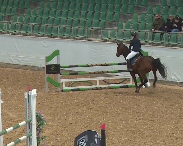 Reitturnier Kreuth/Opf. 2024