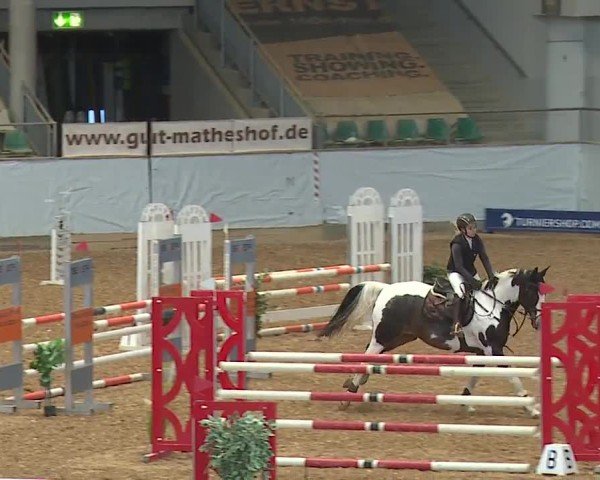 Reitturnier Kreuth/Opf. 2024