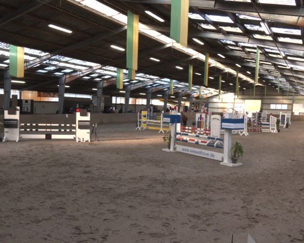 Reitturnier Ibbenbüren 2024