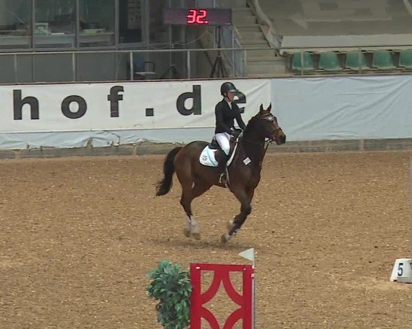 Reitturnier Kreuth/Opf. 2024