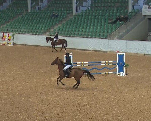 Reitturnier Kreuth/Opf. 2024