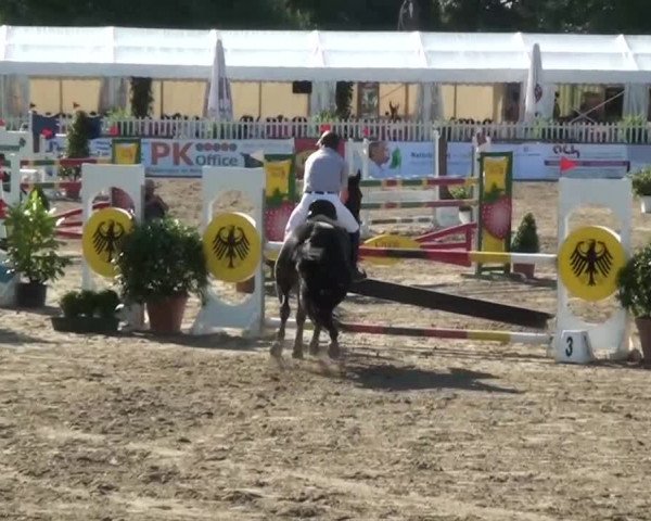 60. Lobbericher Reitsportfestival 01.-04.08.2013