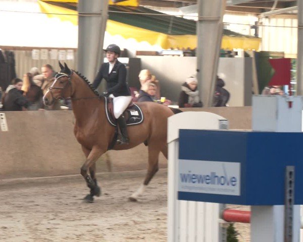 Reitturnier Ibbenbüren 2024