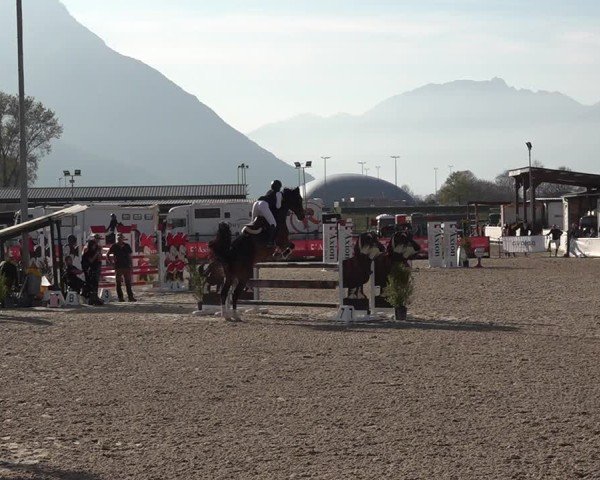 Reitturnier Giubiasco 2024