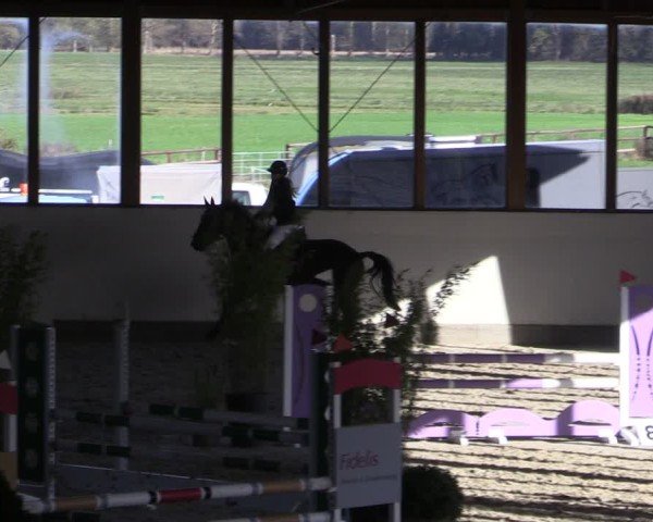 Reitturnier Fleesensee Classic´s 2024