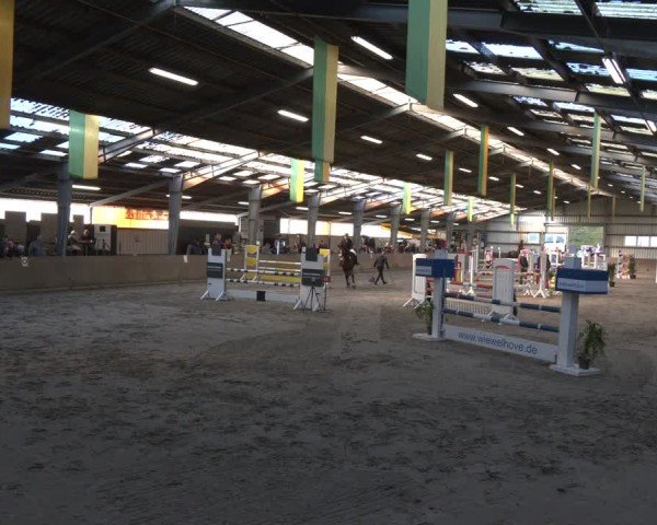 Reitturnier Ibbenbüren 2024