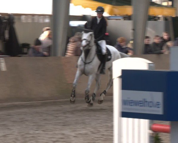 Reitturnier Ibbenbüren 2024