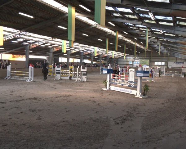 Reitturnier Ibbenbüren 2024