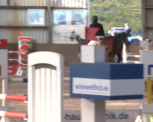 Reitturnier Ibbenbüren 2024