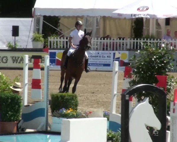 60. Lobbericher Reitsportfestival 01.-04.08.2013