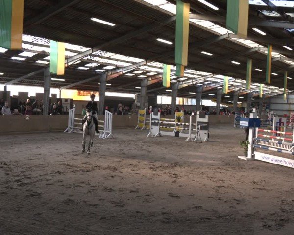 Reitturnier Ibbenbüren 2024