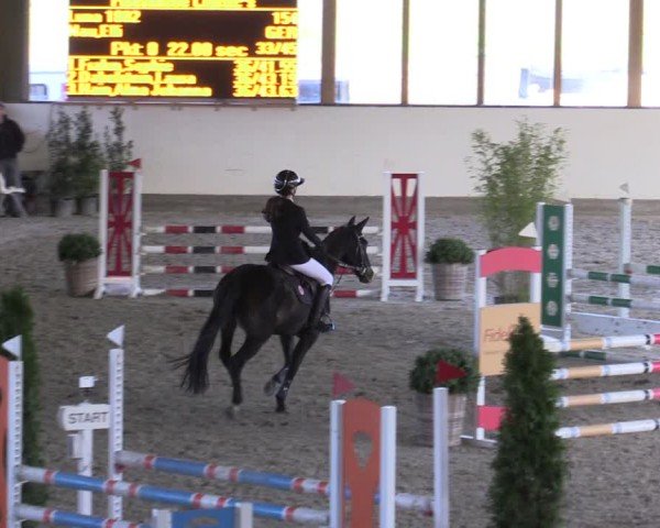 Reitturnier Fleesensee Classic´s 2024