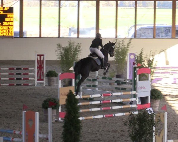 Reitturnier Fleesensee Classic´s 2024