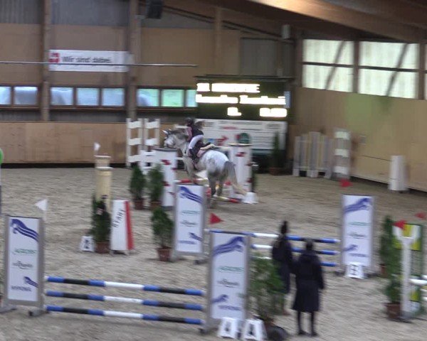 Reitturnier Fehraltorf 2024