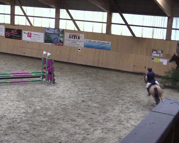 Reitturnier Fehraltorf 2024