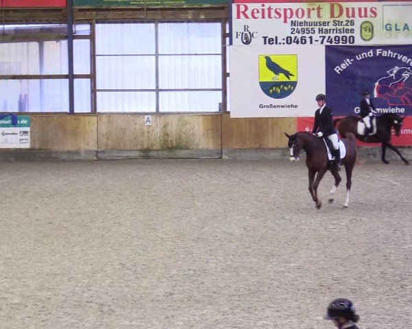 Reitturnier Großenwiehe 2024
