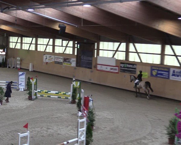 Reitturnier Fehraltorf 2024