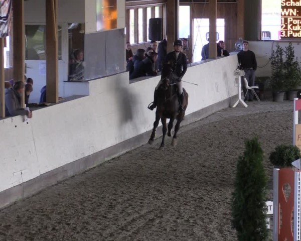 Reitturnier Fleesensee Classic´s 2024
